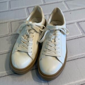 Steve Madden sneaker